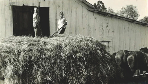 photo of Fred Andrews in 1939